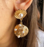 Seashell Earrings